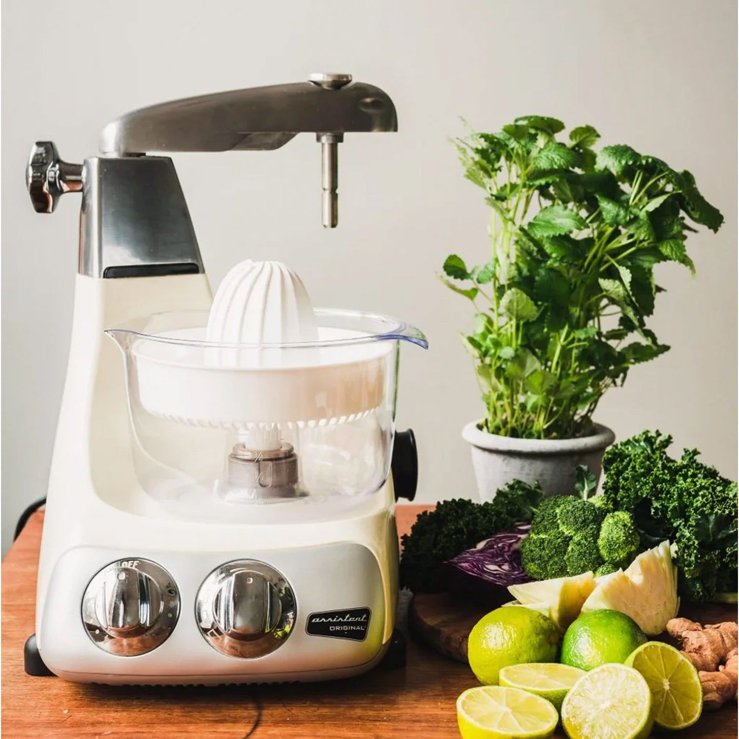 Juicer Press Order Online for Fresh and Healthy Juices Delivered to Your Door