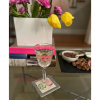 Fig Cucumber Coasters Set