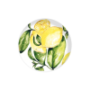 Citrus Porcelain Plate / Set of 4