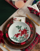 Porcelain Dinner Plate Set 4