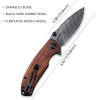 CIVIVI Pintail Knife Damascus Blade + Cuibourtia Wood Handle