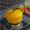 RJ Legend 1.4 Liter Cast Iron Pot, Enameled Pot with Handles