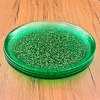 ISLA Glass Dinnerware Set