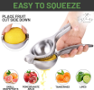 Lemon Squeezer - Single Bowl
