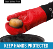Silicone Oven Mitts