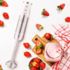 Immersion Hand Blender
