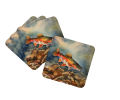 Brook Trout Foam Coasters