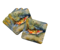 Brook Trout Foam Coasters