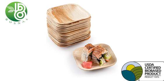 BOSNAL Palm Leaf Plates (Option: 9" x 6" Oval Plate)