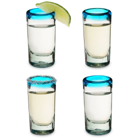 Primavera Recycled Shot Glass Set of 4 by Twine Living (Color: Clear)