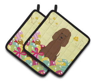 Easter Eggs Dog (Dog Breed: Water Spaniel)