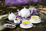 [ Set of 6 ] TEA CUP 8 FL OZ | 250 ML