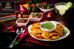 [ Set of 6 ] SQUARE DISH 4" X 3.75" X 2" | 10 X 9.5 X 5 CM 5 FL OZ| 150 ML