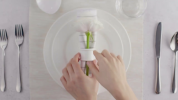 [ Set of 24 ] DINNER KNIFE 8.5" | 22 CM IN WHITE BOX