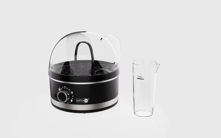 Plug-in Mini Multifunctional Steam Boiler (Option: Black-US)